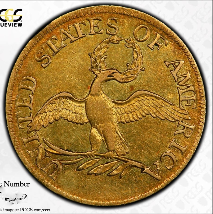 1795-Draped-Bust-Half-Eagle-PCGS-Vs-You