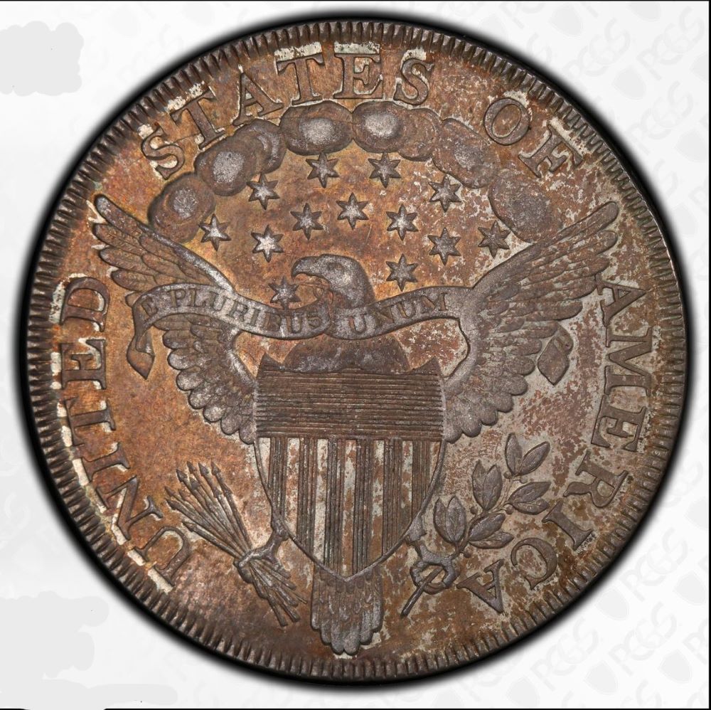 1801-Draped-Bust-Dollar-PCGS-Vs-You-Last-One-For-Now