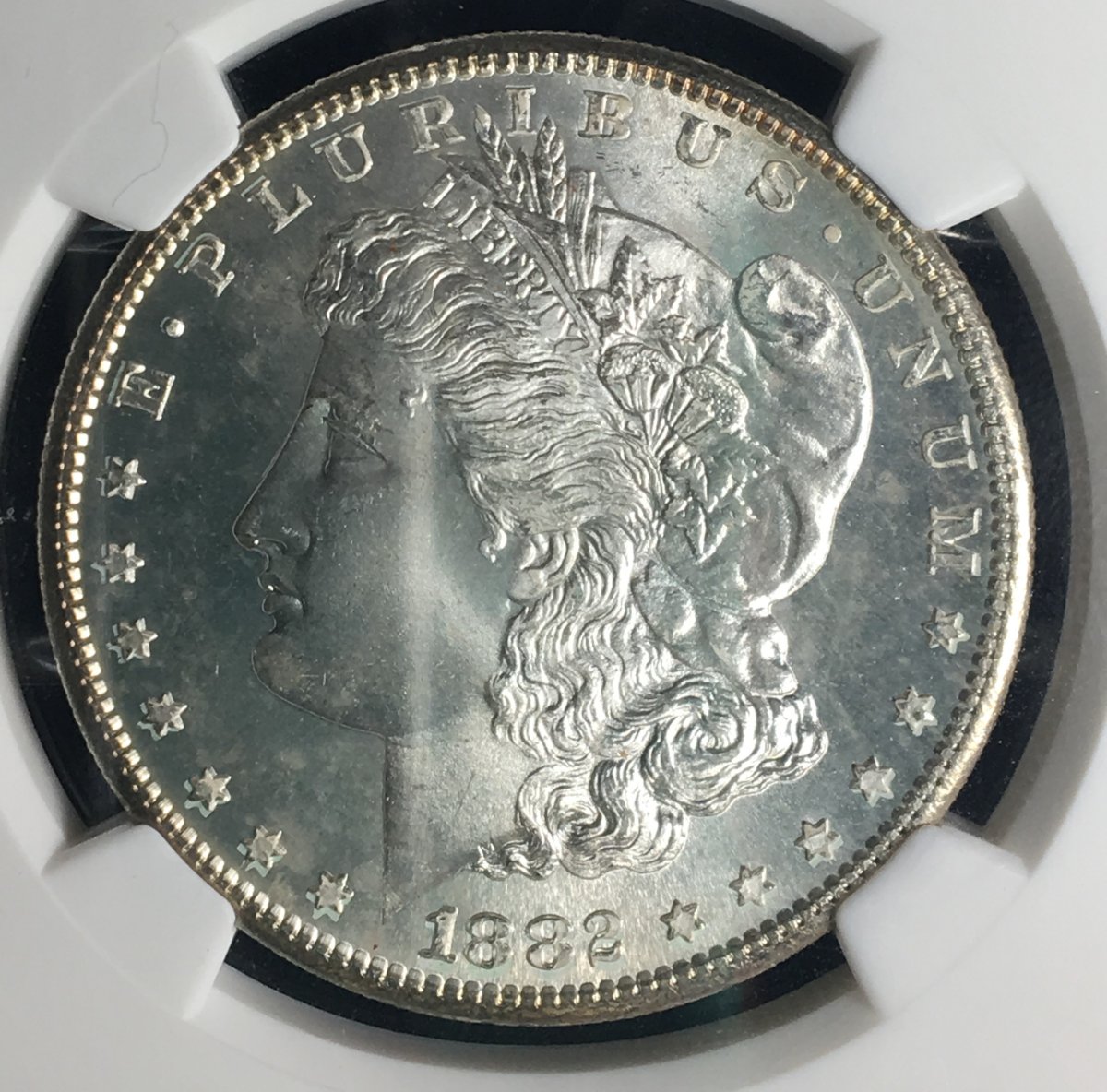 1882-S-Morgan-Silver-Dollar...-You-Vs.-NGC!