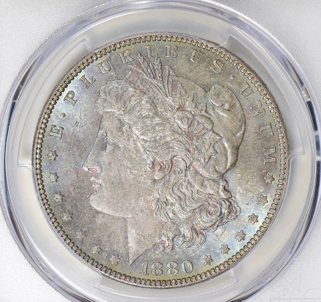 1880-Morgan-Dollar...-You-Vs.-PCGS!