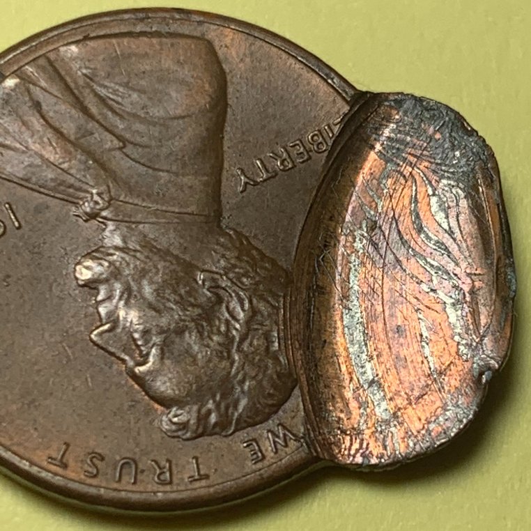 Is-This-A-Genuine-Double-Struck-1988-Lincoln-Cent?