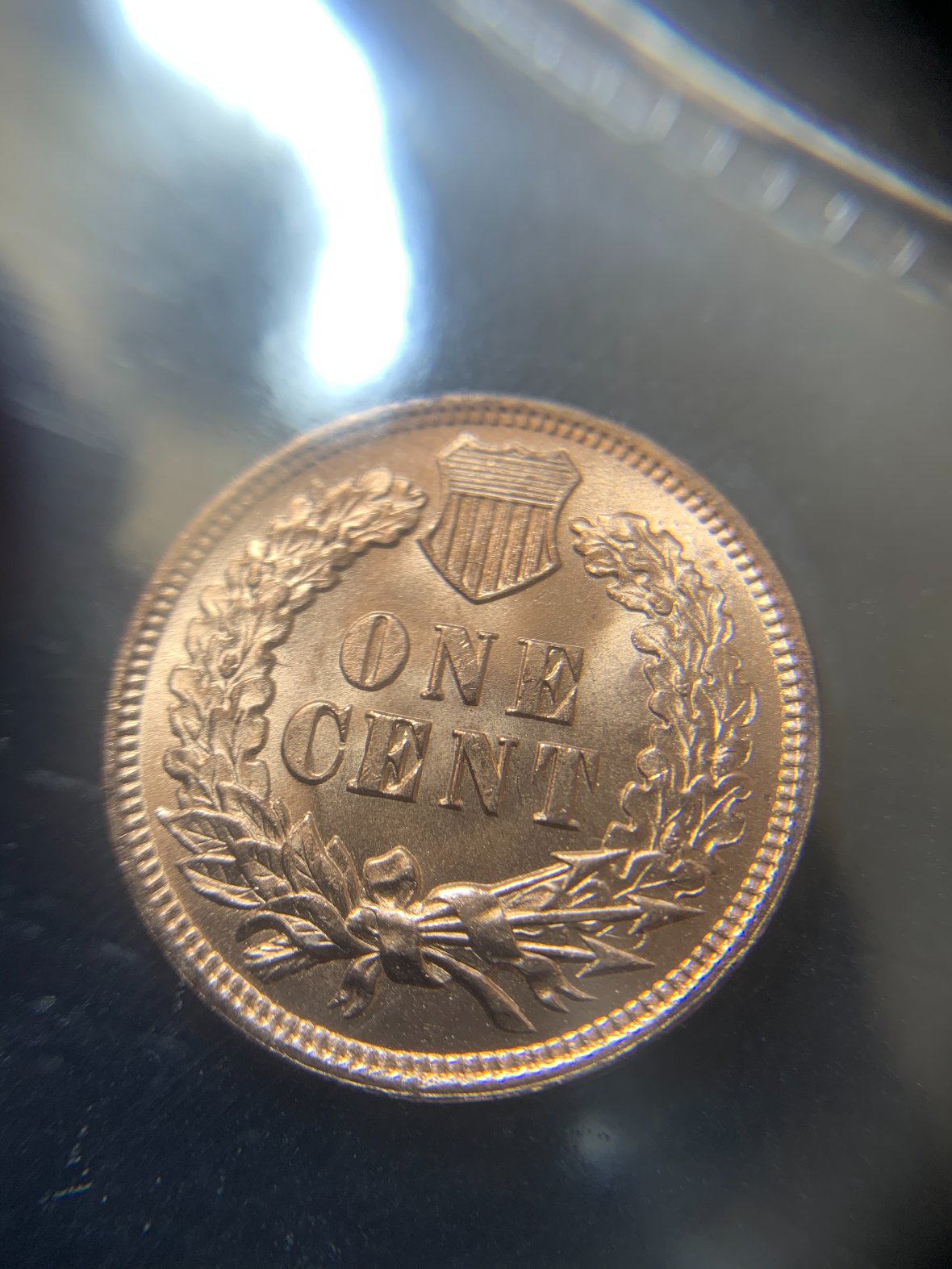 1905-Indian-Head-Cent-For-Grading