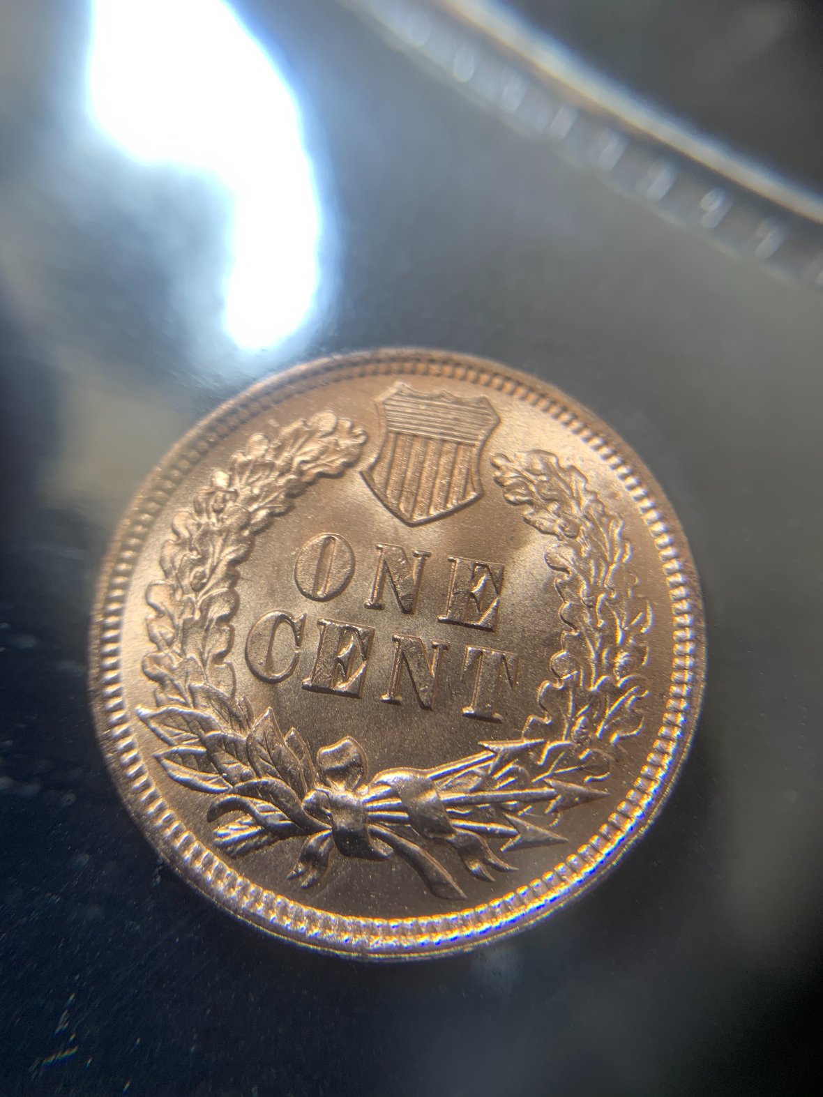 1905-Indian-Head-Cent-For-Grading