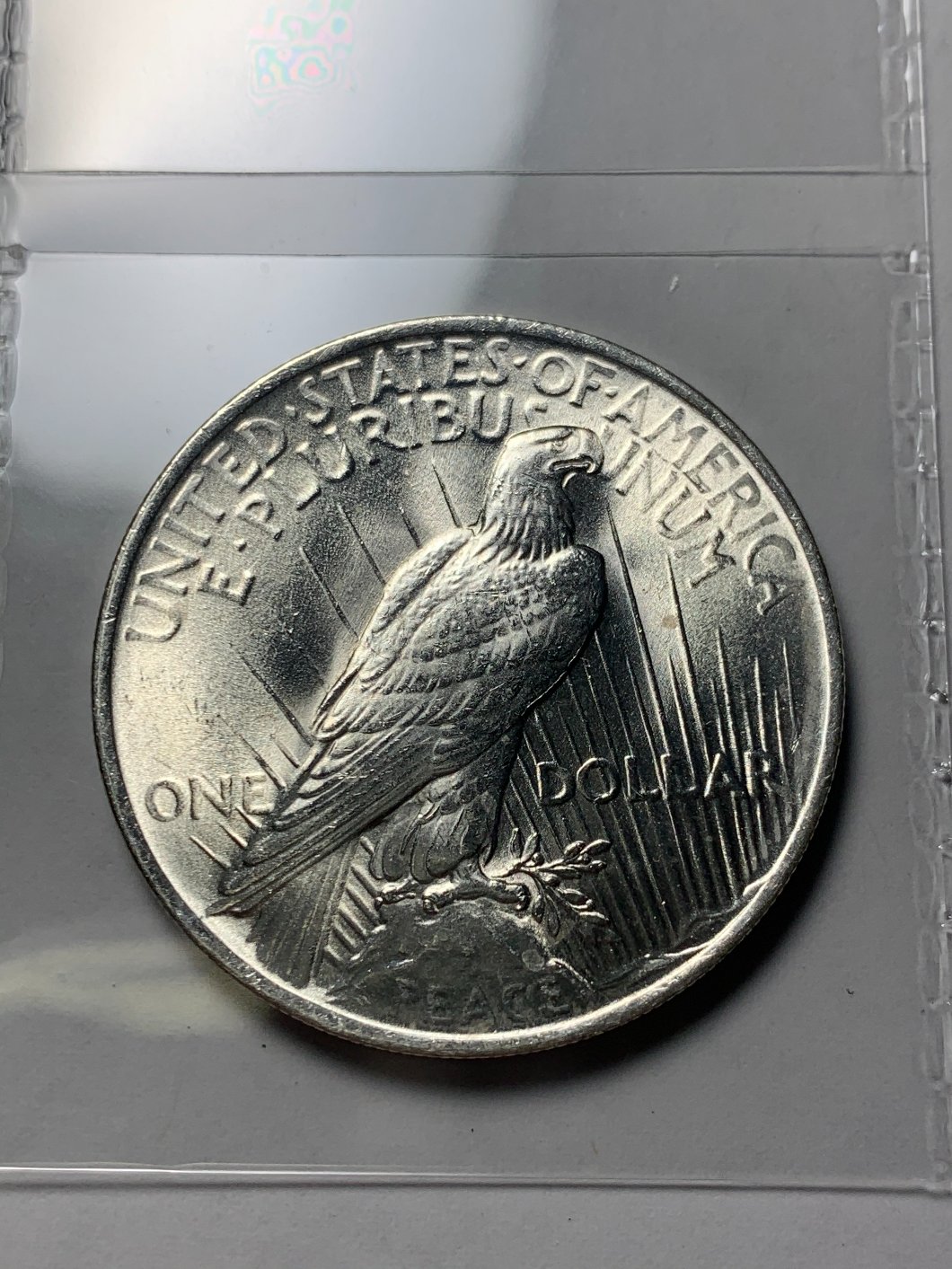 1923-Peace-Dollar-For-Grading