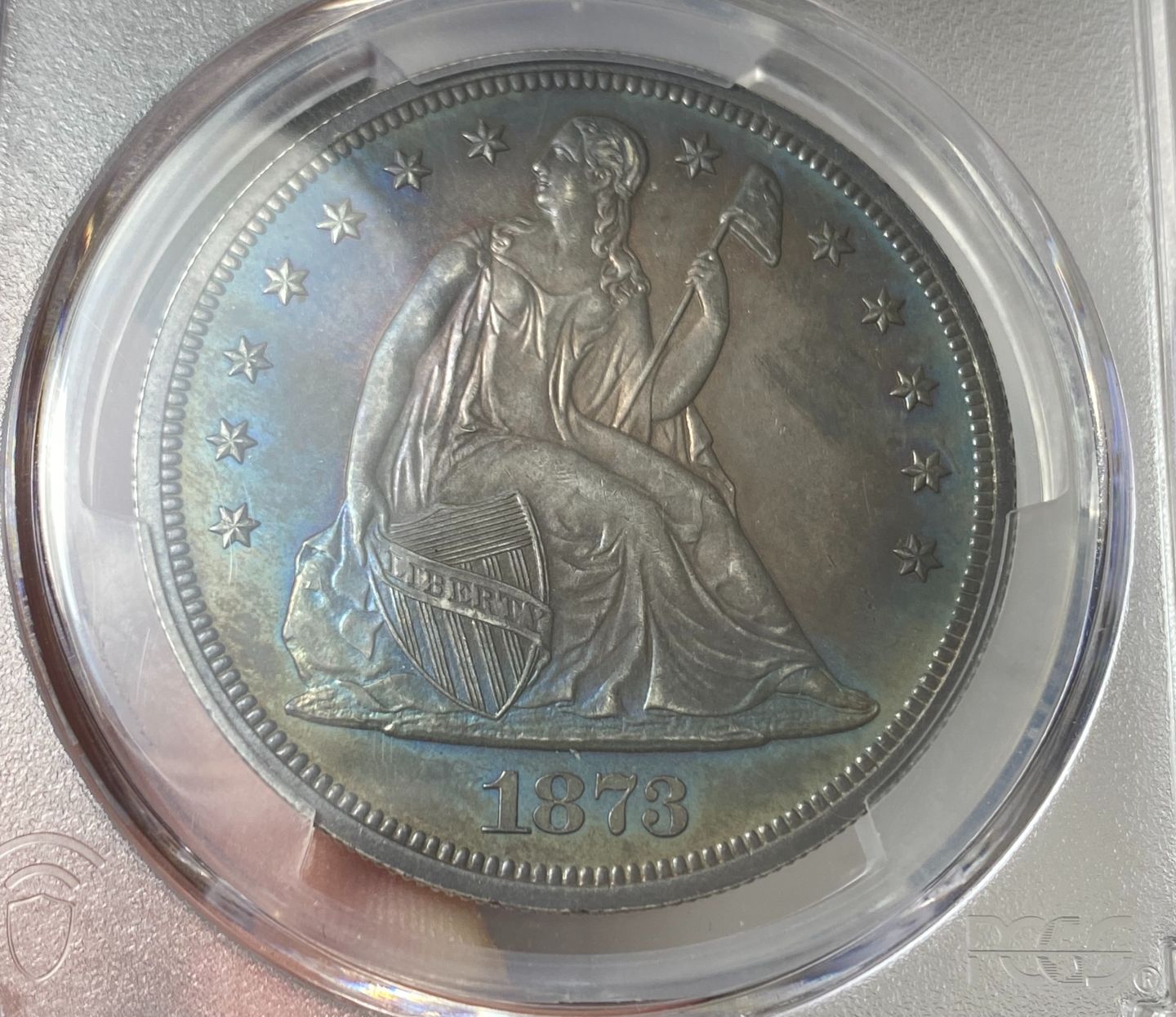 1873-Seated-Liberty-Dollar.-You-Vs.-PCGS!