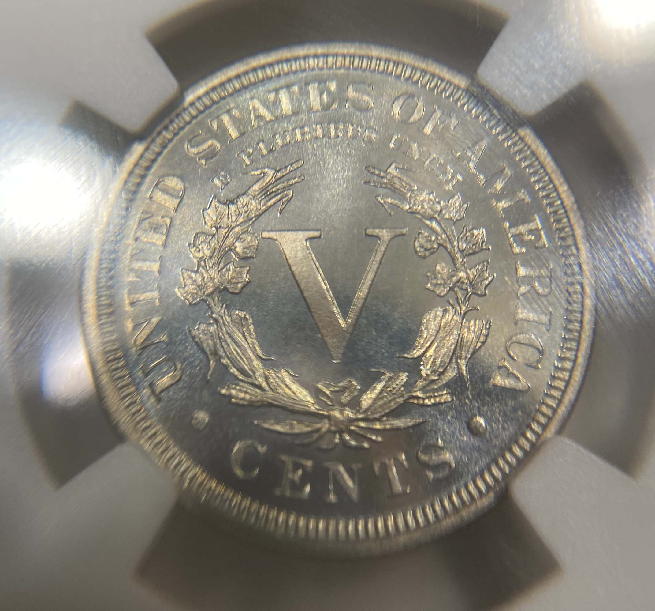 New-Addition,-1900-Liberty-V-Nickel.-You-Vs.-NGC!
