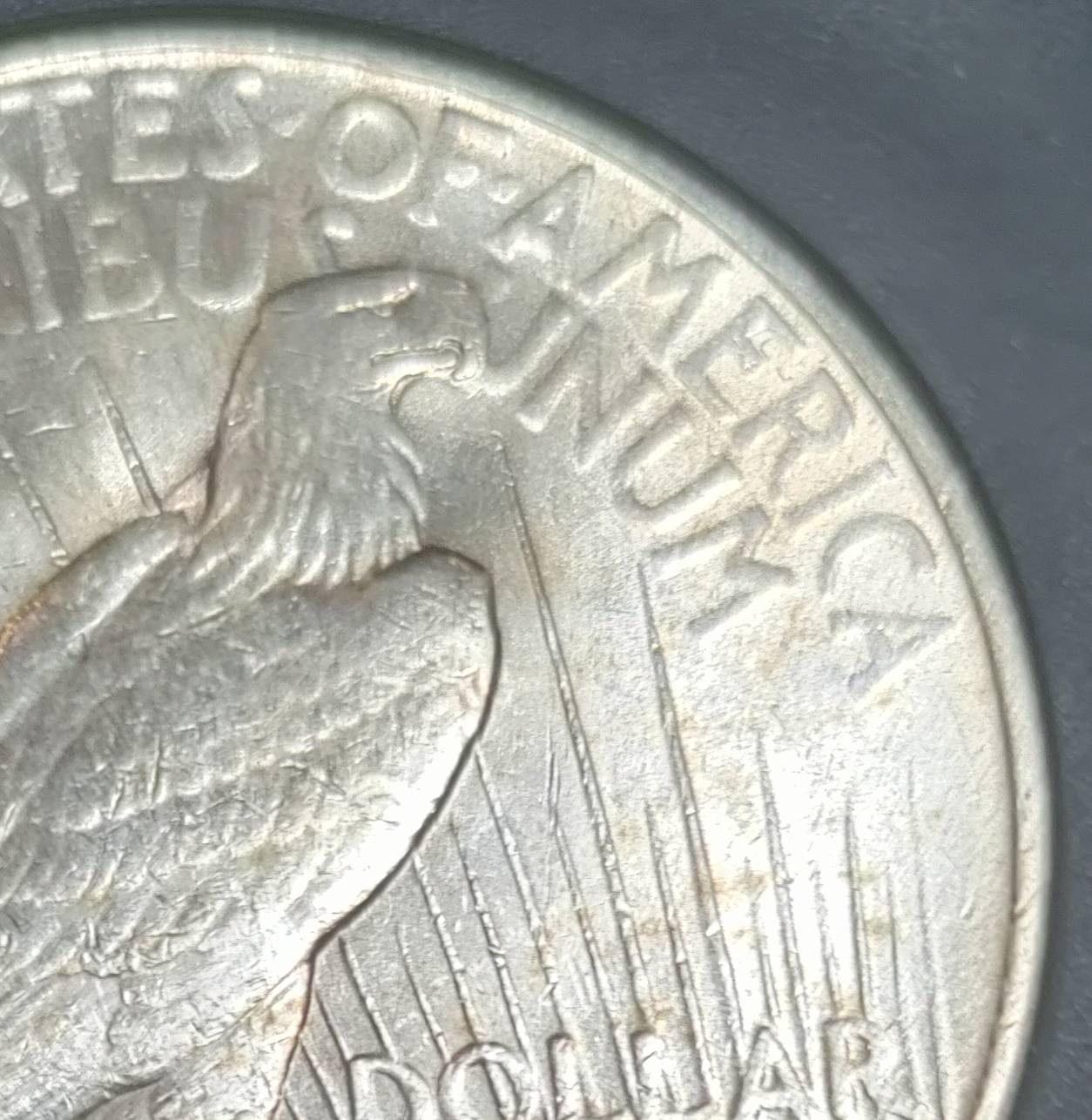 1923-D-Peace-Dollar-Opinions