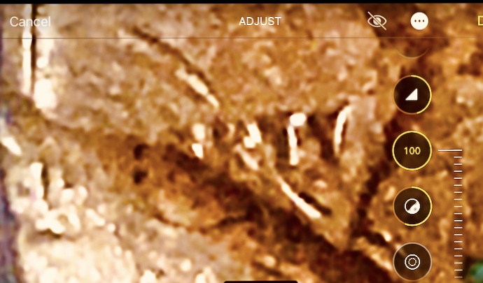 1936-S-Lincoln-Cent-/-Brockage-Or-Indent-?