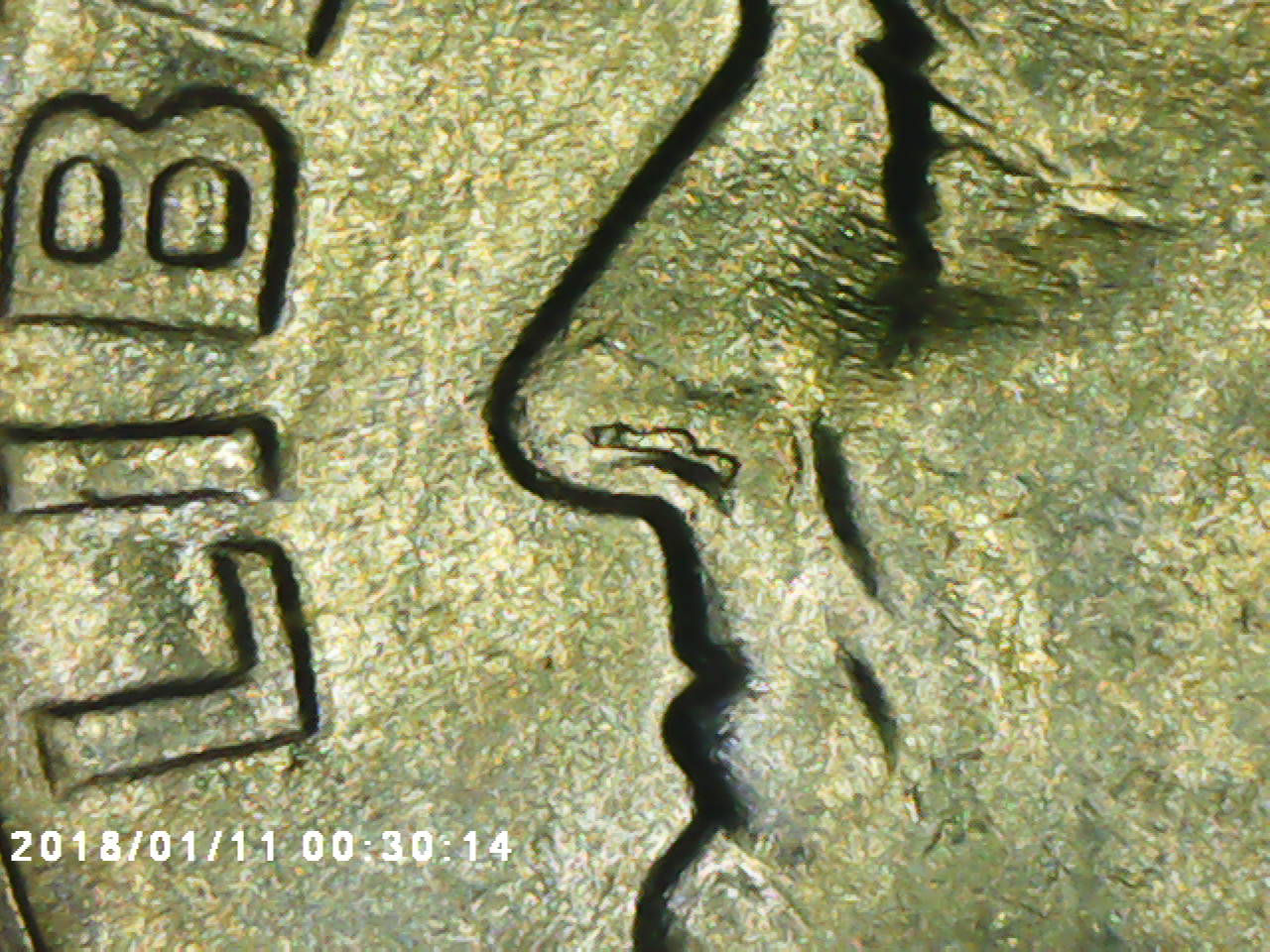 1959-D-Roosevelt-Dime-Die-Break-In-Nostril?