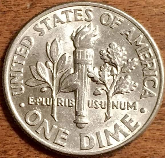 2005-P-Dime-With-Extra-Hair