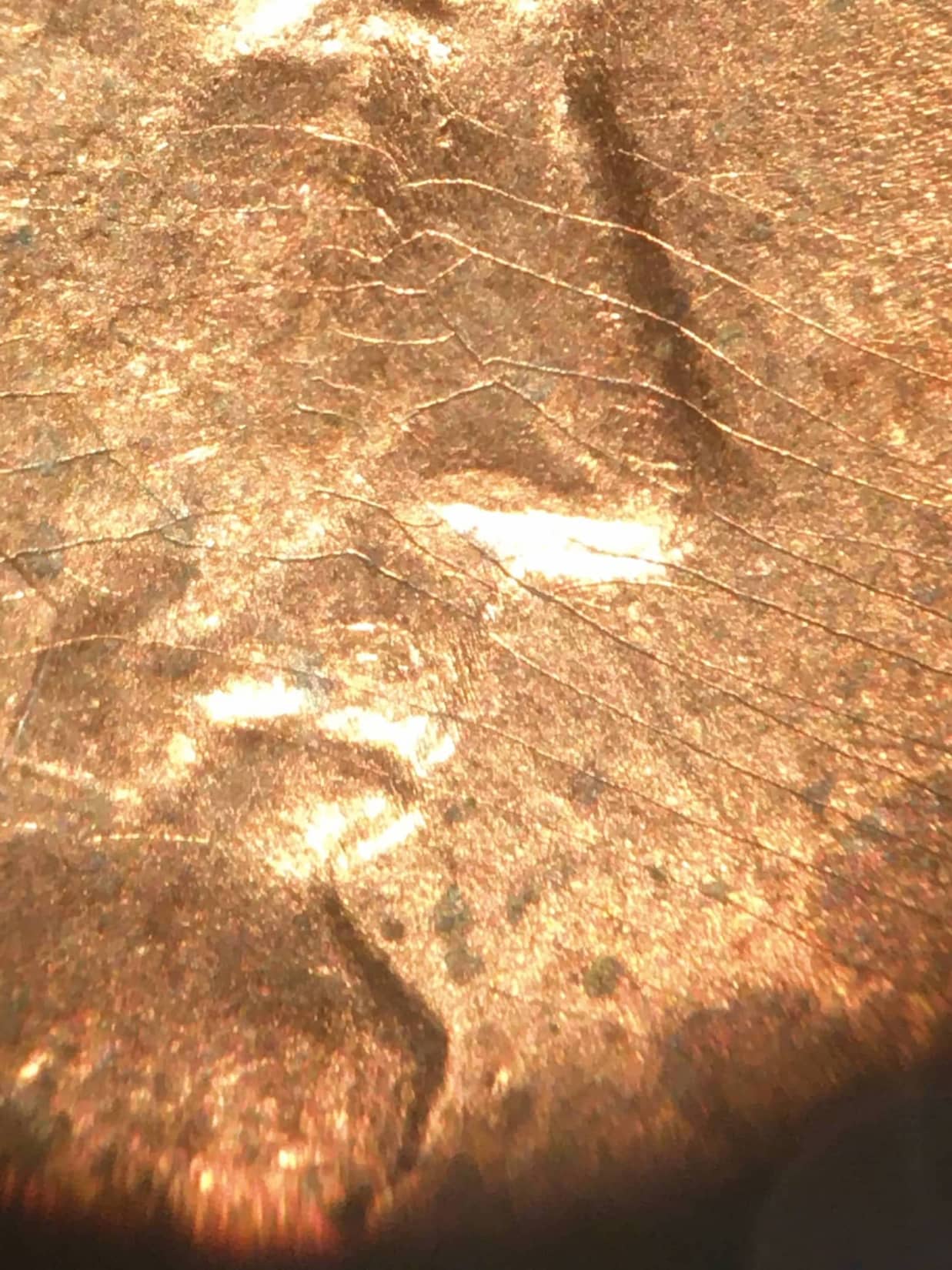 1984-D-Penny-With-Fine-Web-Like-Lines