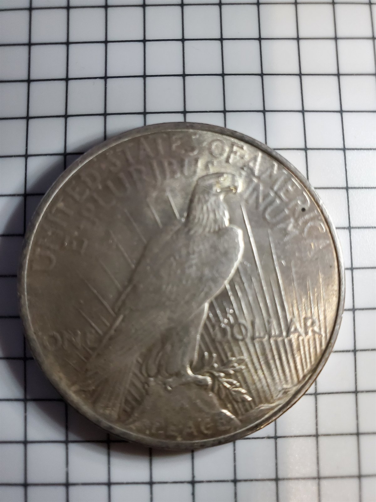 1922-Peace-Dollar-Is-This-A-Chip?