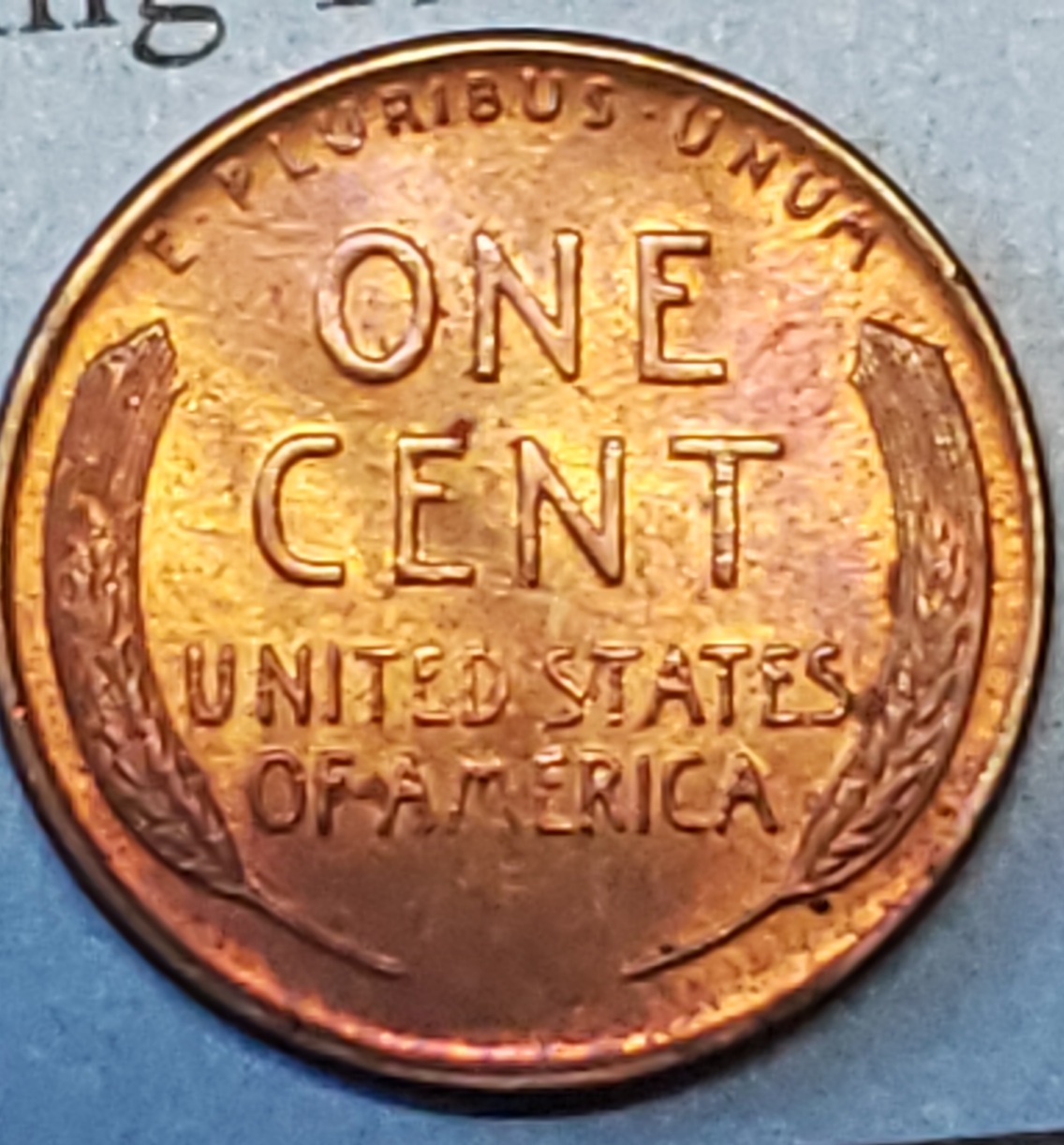 1955-D-Lincoln-Cent-Is-This-One-Worth-Sending-In-To-Be-Graded?