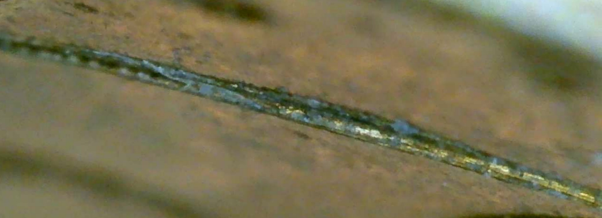 1945-DDR-Penny-Extra-Wheat-Stalks?