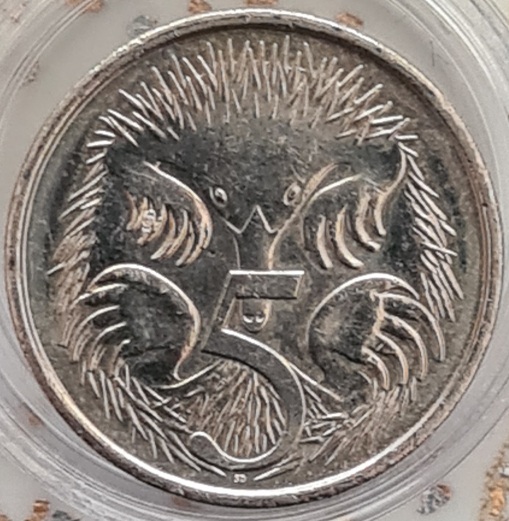 2021-Australian-5-Centevo-Clash