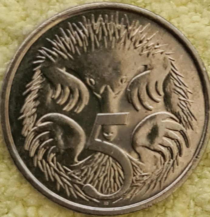 Which-Year-Australian-5-Cent-Is-The-Rarest-Hi,-Low--Small,-Large-Echidna