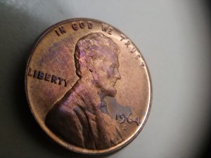 Need-Some-Help-To-Identify