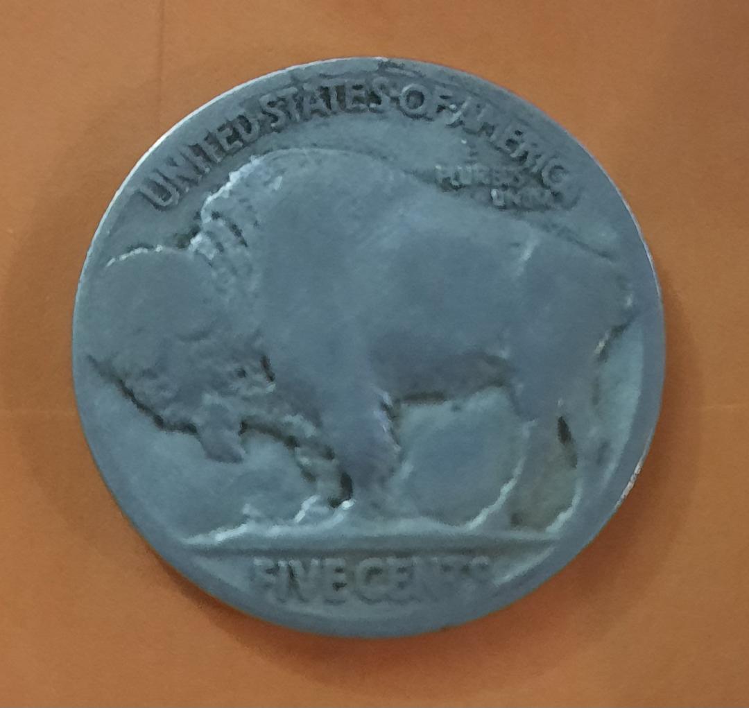 Buffalo-Nickel---What's-Up-The-Edges?