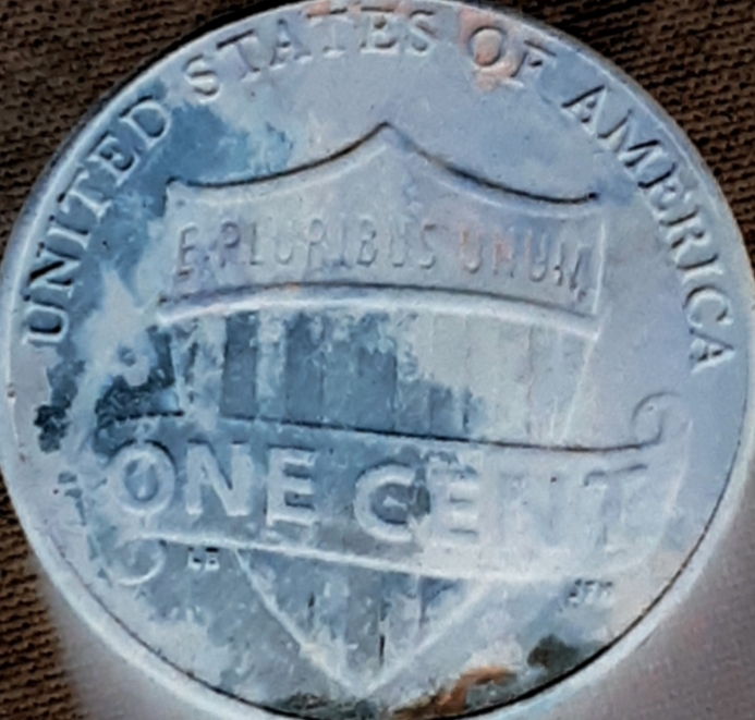 2020-Penny.-Red-Or-Brown.-I'm-Confused.