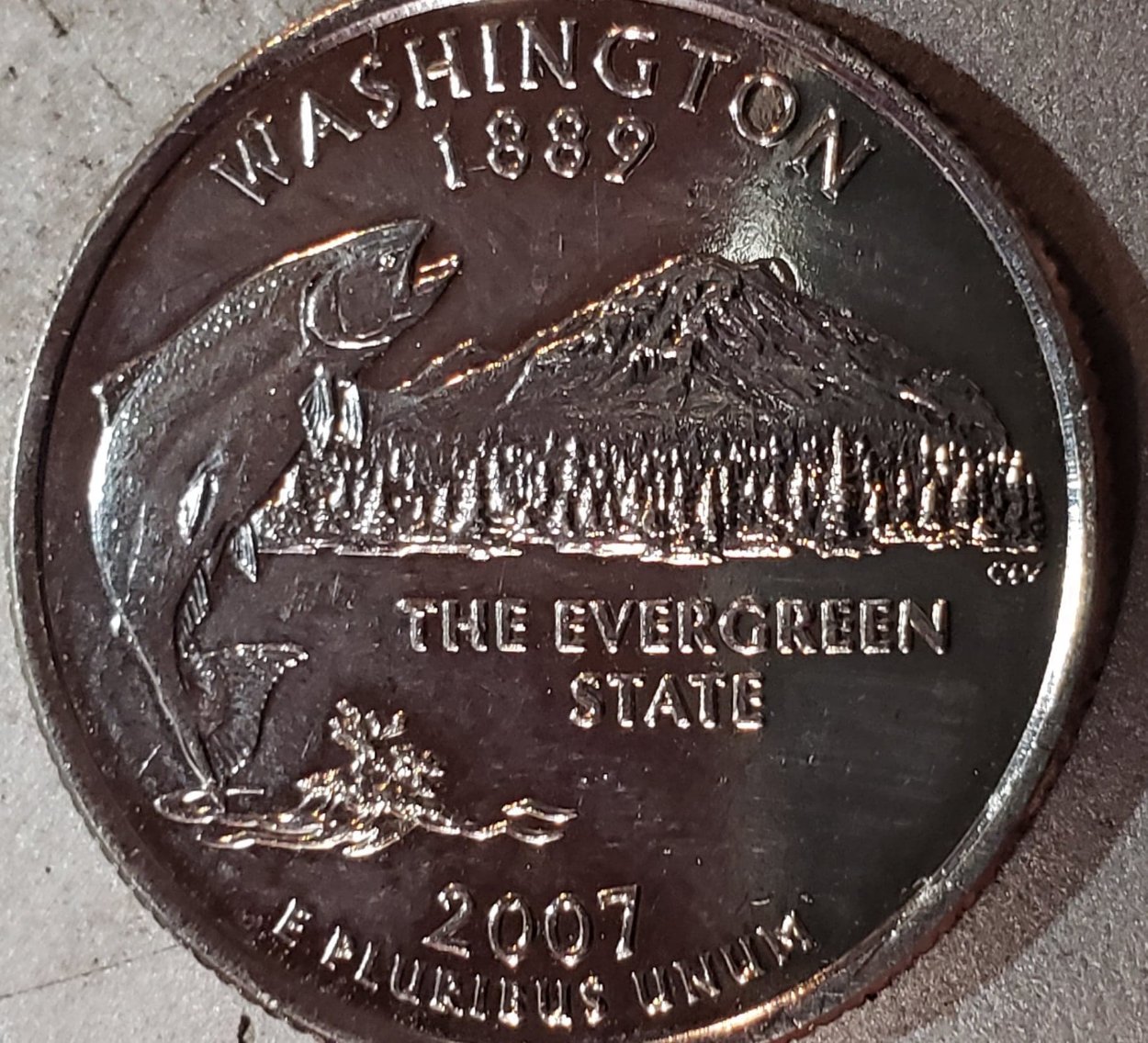 2007-D-Washington-State-Quarter-Errors?