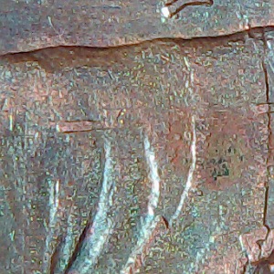 1984-D-Penny-DDO-Or-Not?