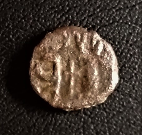 Need-Identify,-Please-#1