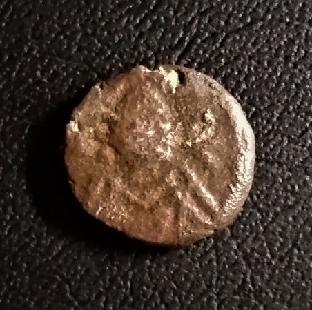 Need-Identify,-Please-#1