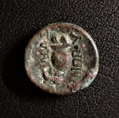 Need-Identify,-Please-#3