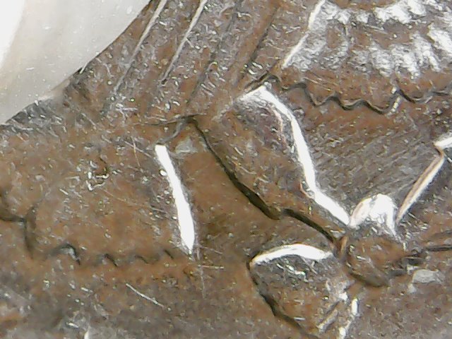 1972-D-Kennedy-Half-Dollar-No-FG