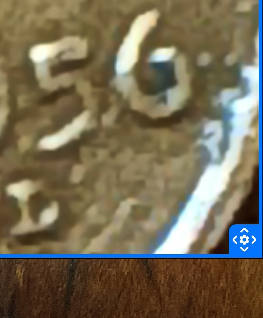 1956-D-Penny-Seems-Like-A-Different-Mint-Mark