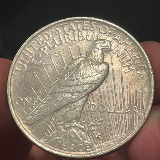 1923-Peace-Dollar-Planchet-Related-Error-Or-Damage?