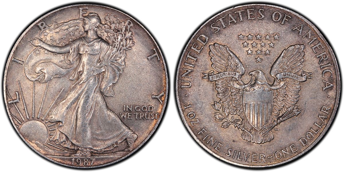 Circulated-Silver-Bullion-Coin?