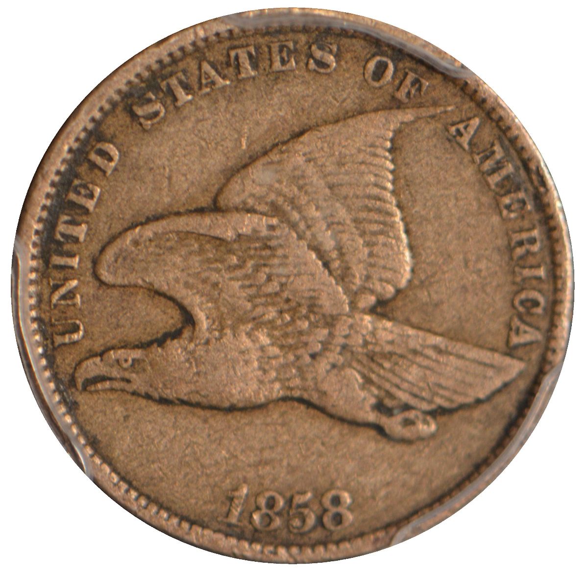 What's-Your-Favorite-Eagle?