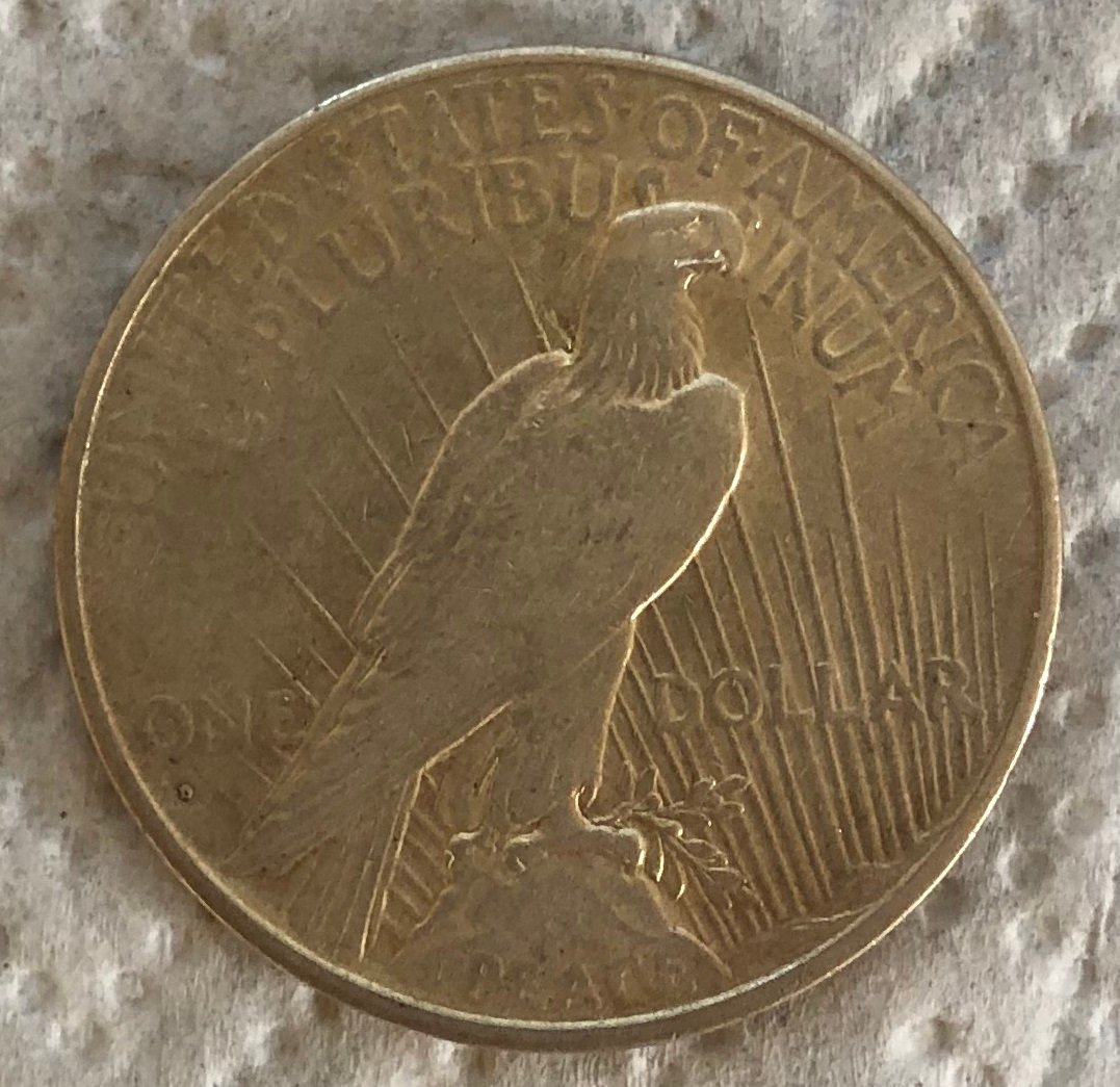 1934-D-Peace-Dollar-For-Grading