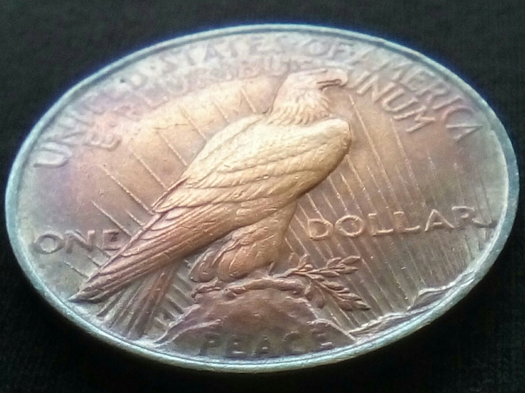 1922-Peace-Dollar,-Won-On-Ebay-Auction.