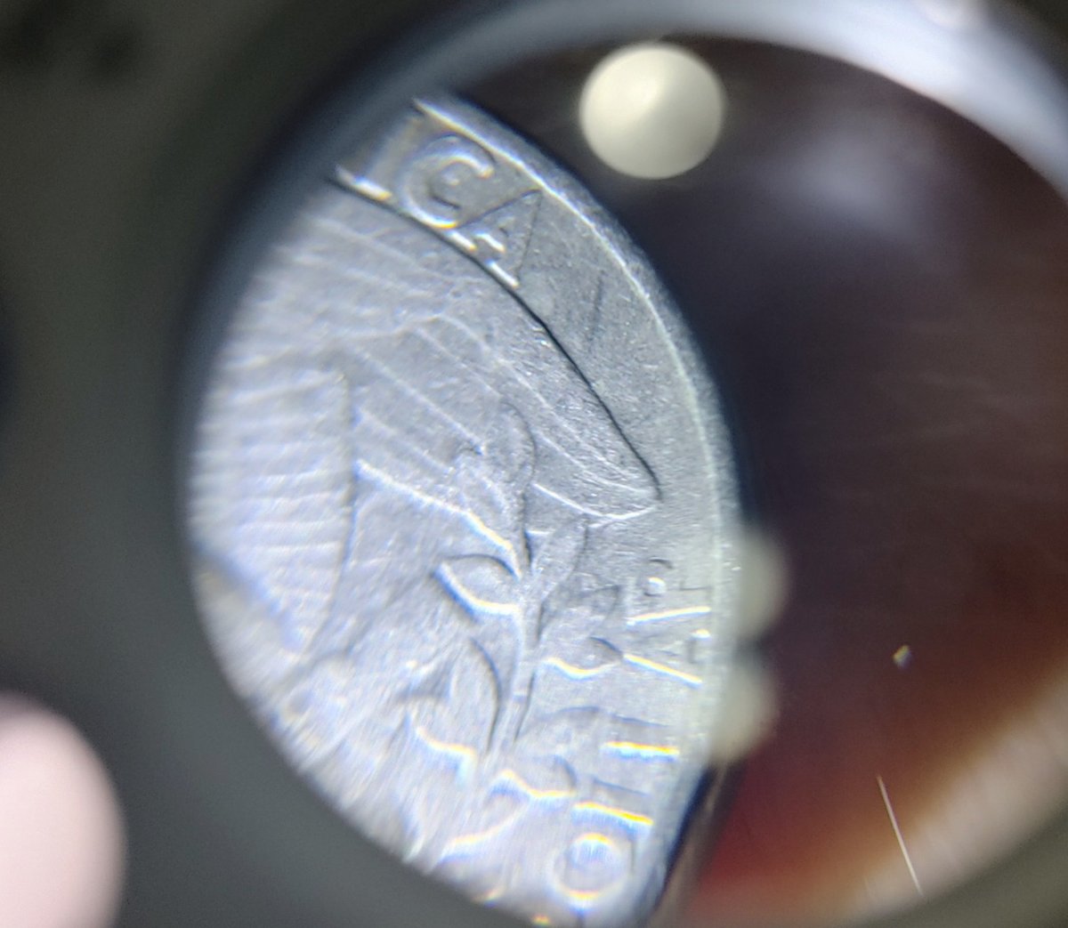 1986-Quarter.do-You-See-Any-Errors?-Please-Help