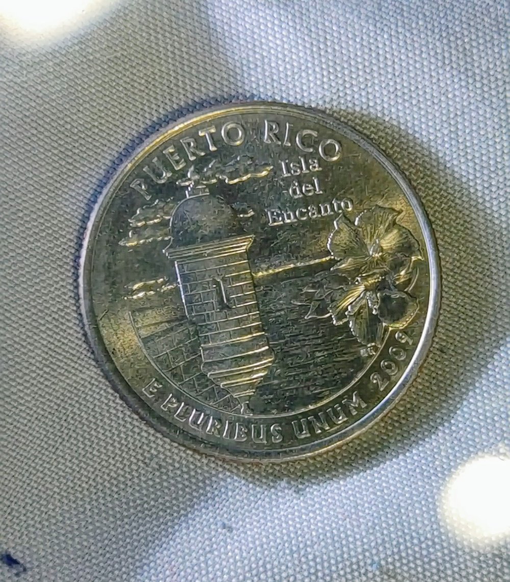 Possible-2009-Quarter-Error?