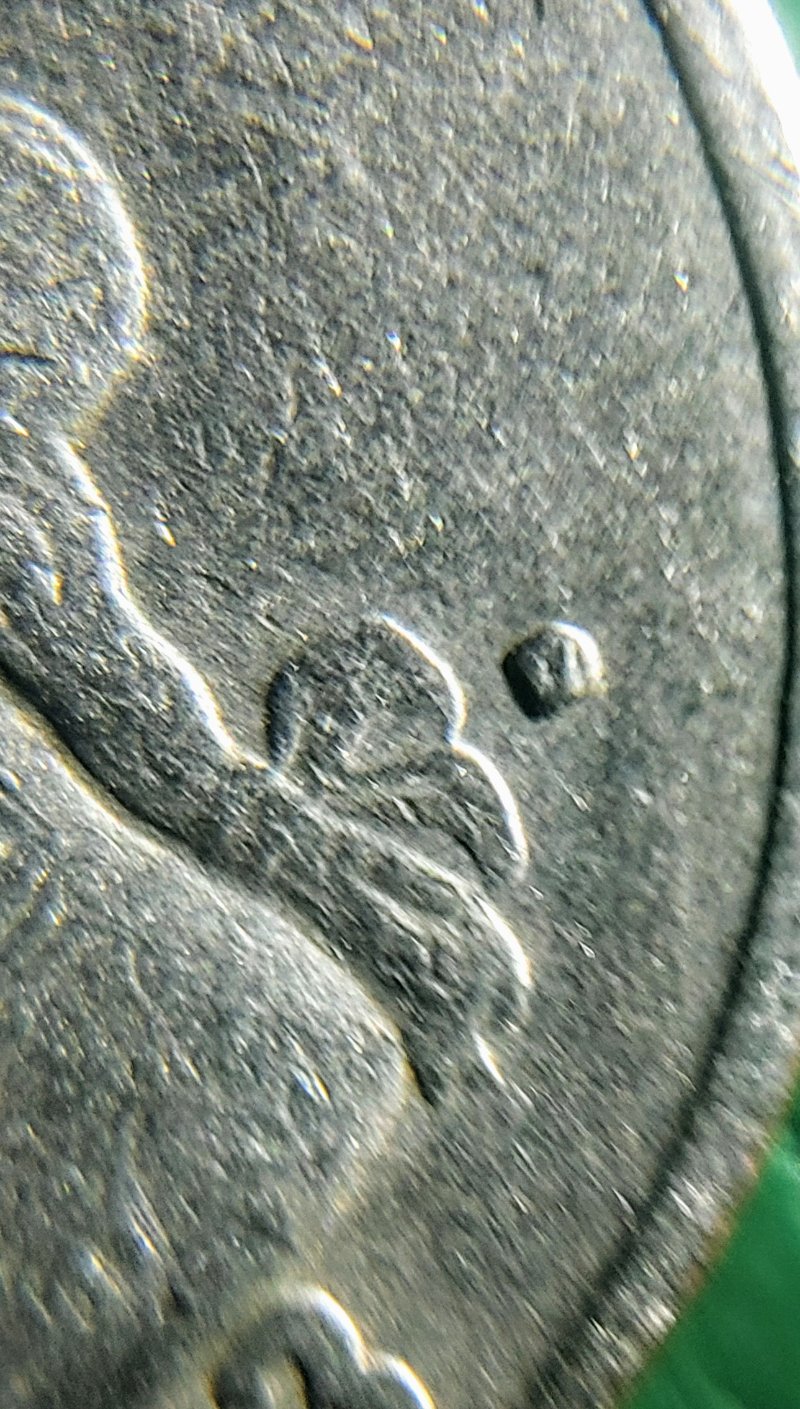 1983-Quarter-W-P-Or-D-Mint.or-Both?