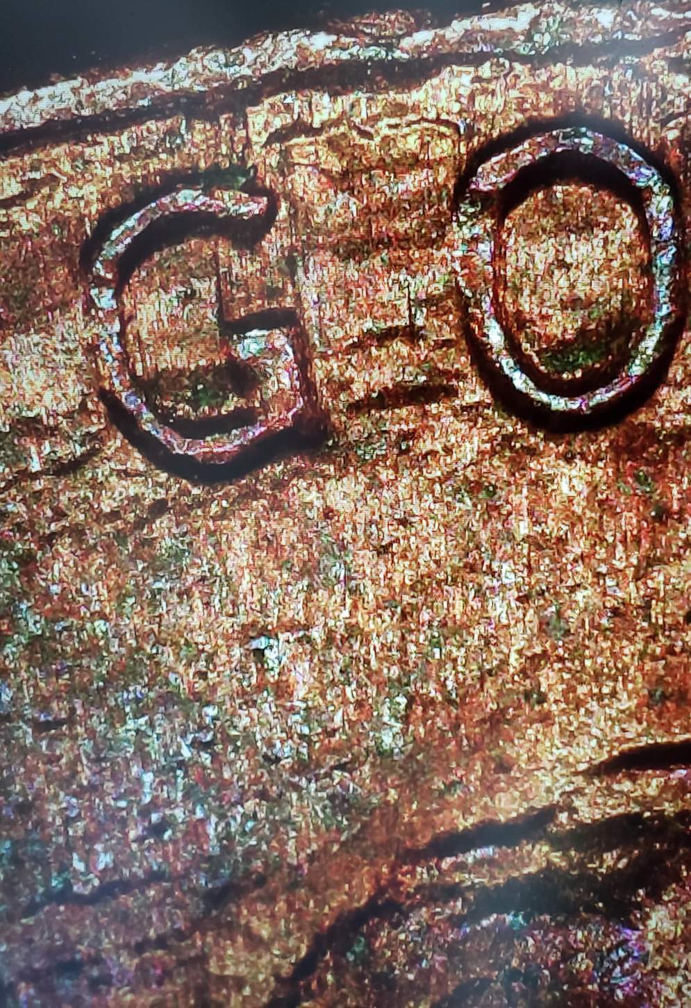 Feedback-On-Possible-1987-D-Penny-Error