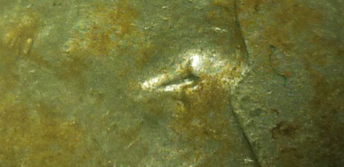MD-Or-DDO-1943-D-Steel-Lincoln-Cent-Coin?