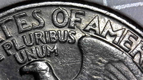 With-A-New-USB-Scope-I-Can-See-Clear-My-Eagle-Get-Wounded-On-The-Wing--Quarter