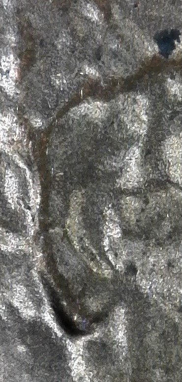 1985-D-LMC.-Is-This-DD-Ear-Lobe?-Masters-Help