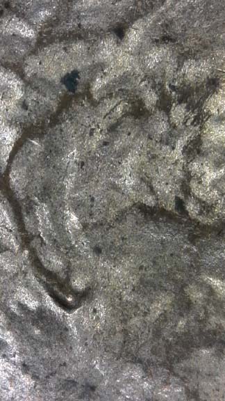 1985-D-LMC.-Is-This-DD-Ear-Lobe?-Masters-Help