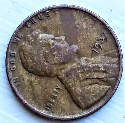 1937-LWC-Found-In-CRH.-Is-This-Woody-Or-Just-Damaged
