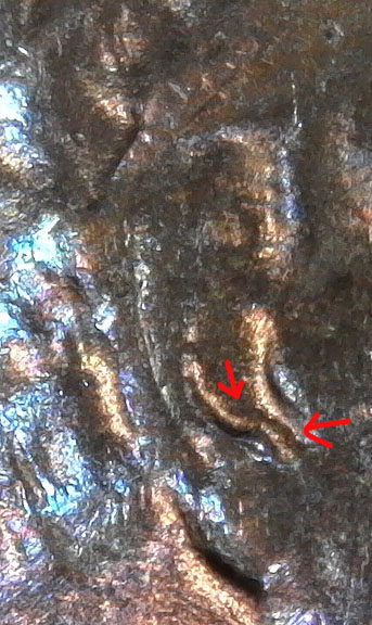 1955-D-LWC.-DD-Ear-From-Jason-Cuvelier-1955-D-DDO-001-Fs-101