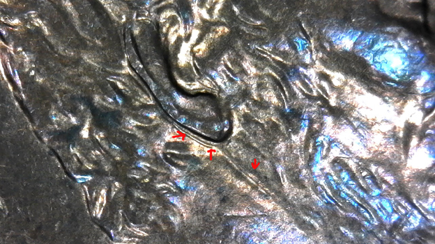 1997-LMC.-Is-This-DD-Ear-?