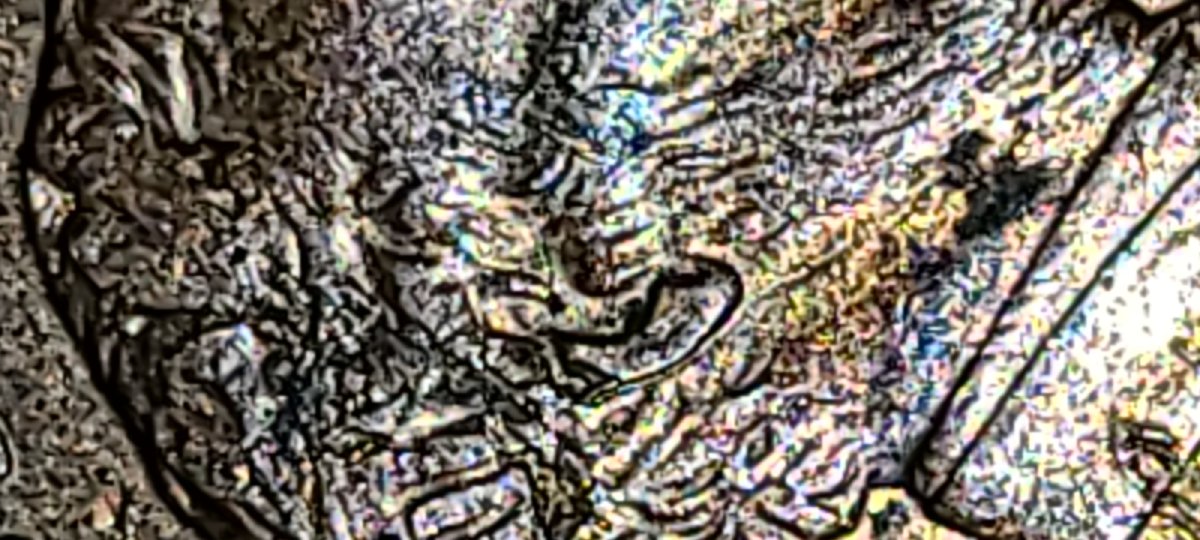 1997-D-Penny-Hair-Over-Ear