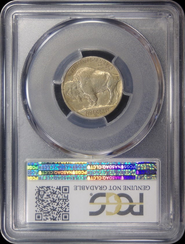 You-Vs-PCGS---1919-S-Buffalo