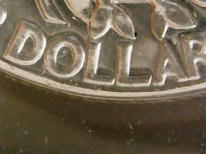 19657-Quarter-Question-Re:-L-In-Dollar