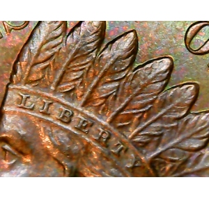 1906-Indian-Head-Penny--Grade?